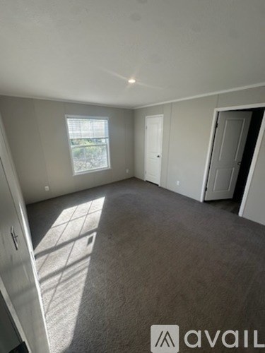 A room with a carpeted floor and a window letting in sunlight.