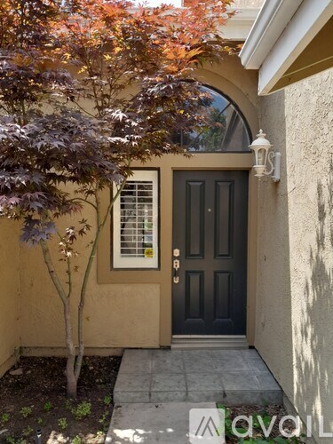 A tree with purple leaves is in front of a house.