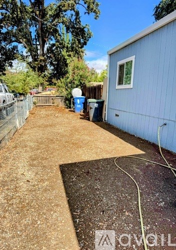 A backyard with a blue shed and a brown concrete slab.