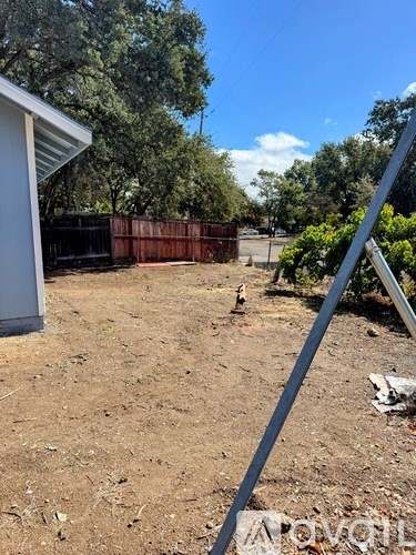 A backyard with a fence and trees.