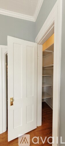 A white door with a gold handle is open.