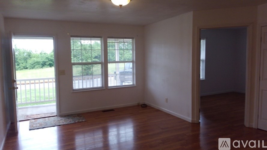 A room with a wooden floor and a window overlooking a green area.