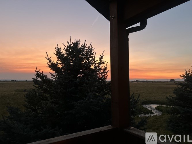 A view from a window looking out at a tree and a field during sunset.