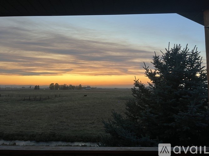 A view of a field with a tree and a fence in the foreground and a sunset in the background.