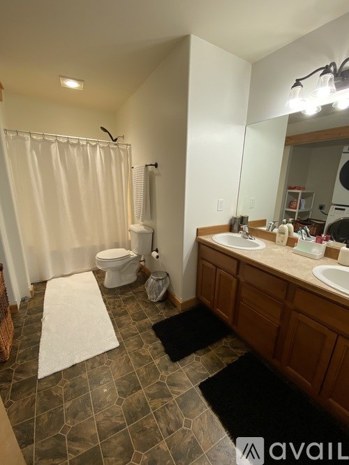 A bathroom with a toilet, sink, and shower.