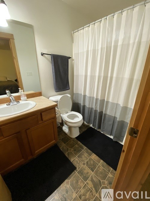 A bathroom with a toilet, sink, and shower curtain.