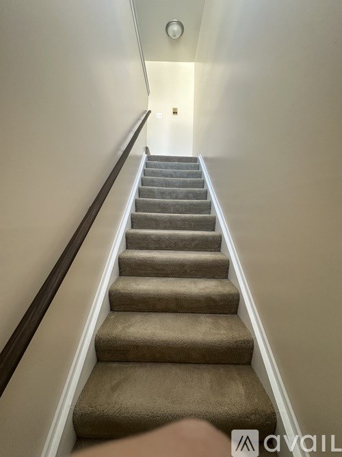 A staircase with beige carpeted steps and a dark brown handrail.