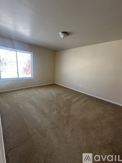 A room with a carpeted floor and a window.