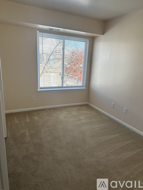 A room with a carpeted floor and a window with blinds.