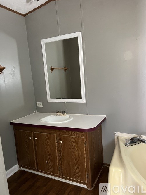 A bathroom with a sink and a mirror.