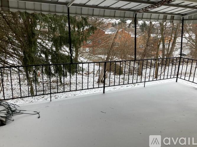 A snow-covered ground with a black fence and trees in the background.