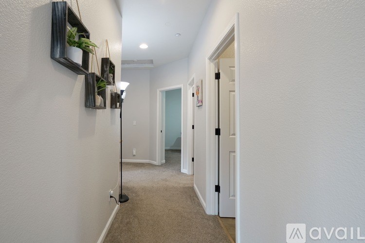 A hallway with a carpeted floor, white walls, and a series of doors.