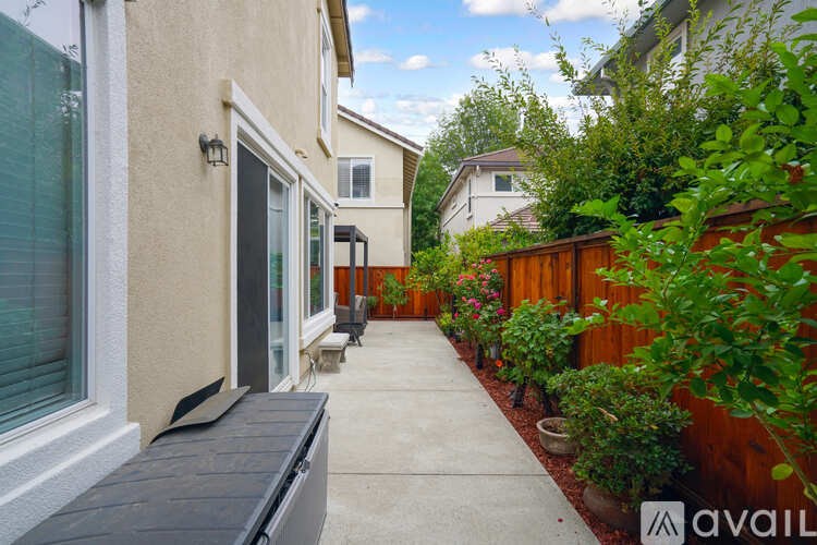 A sunny day in a residential area with a wooden fence and green plants.