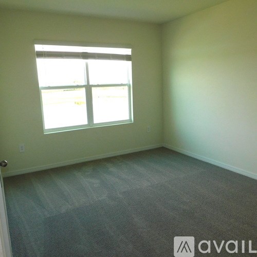 A room with a carpeted floor and a window.