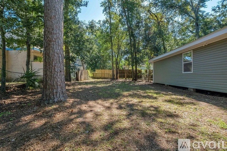 A backyard with a fence and trees.