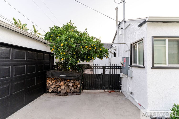 A small tree in a planter is in front of a white house.