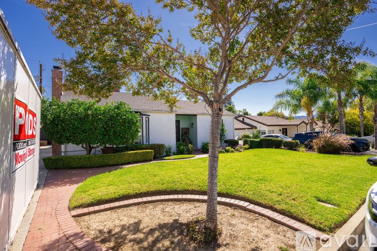 A tree in a landscaped yard in front of a house.