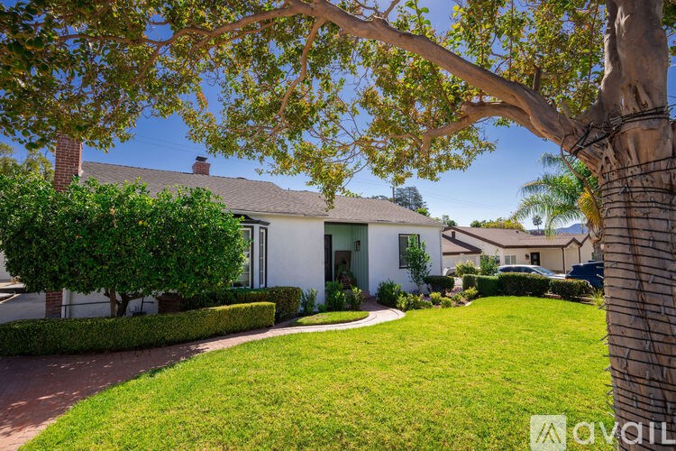 A house with a white exterior and a tree in front of it.