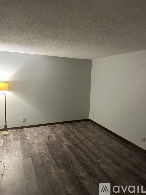 A room with a lamp and wooden flooring.