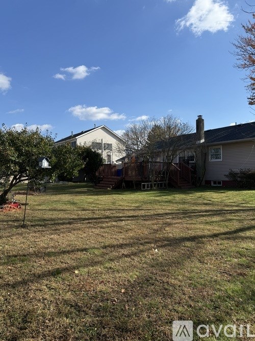 A backyard with a house, a tree, and a lawn.