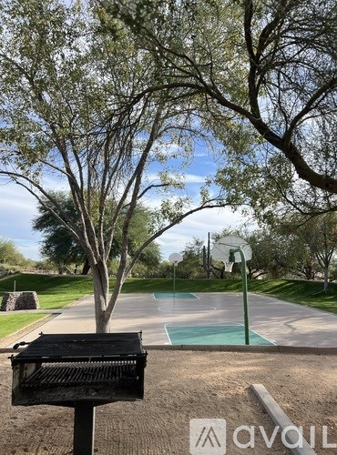 A basketball court is surrounded by trees and has a basketball hoop in the middle.