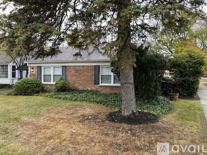 A tree in a mulched area in front of a house.
