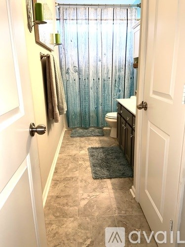 A bathroom with a toilet, a shower curtain, and a rug.