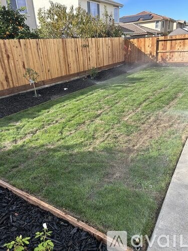 A backyard with a wooden fence and a green lawn.