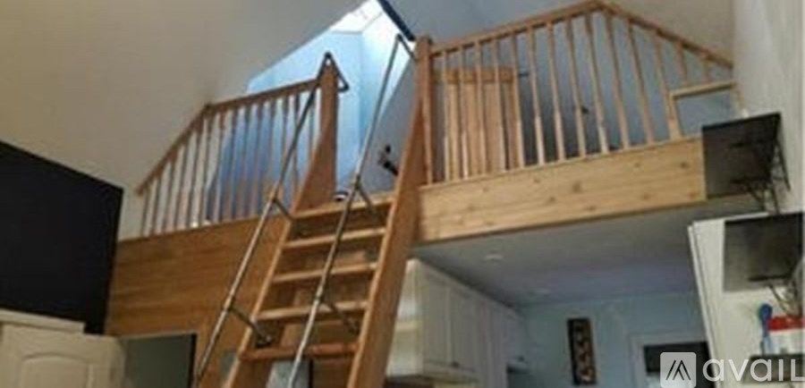 A garden with a variety of flowers and a ball on the grass.