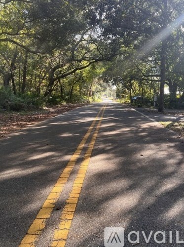 A road with yellow lines and trees on both sides.