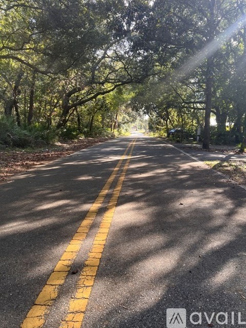A road with yellow lines and trees on both sides.