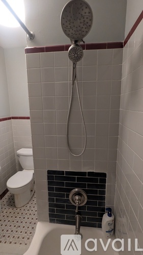 A shower with a white toilet in the corner.