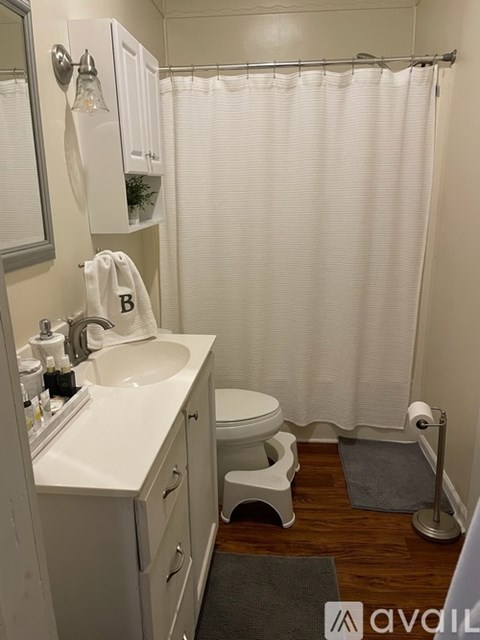 A bathroom with a white toilet, sink, and shower curtain.