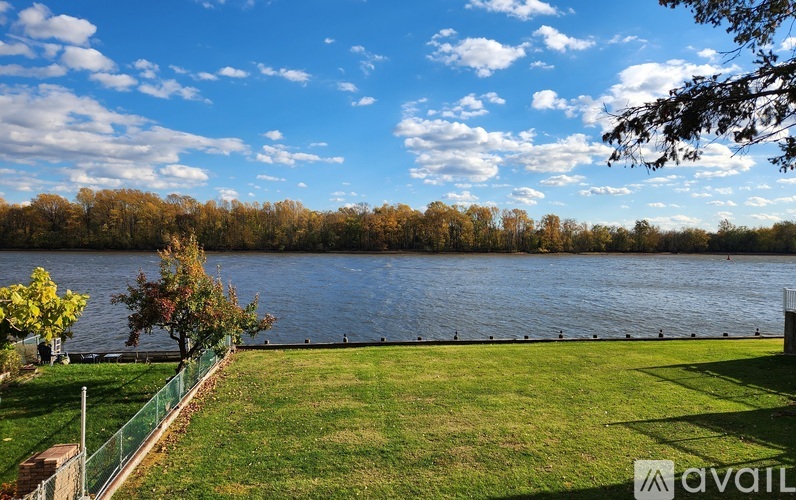 A beautiful day at the park with a lake and trees.