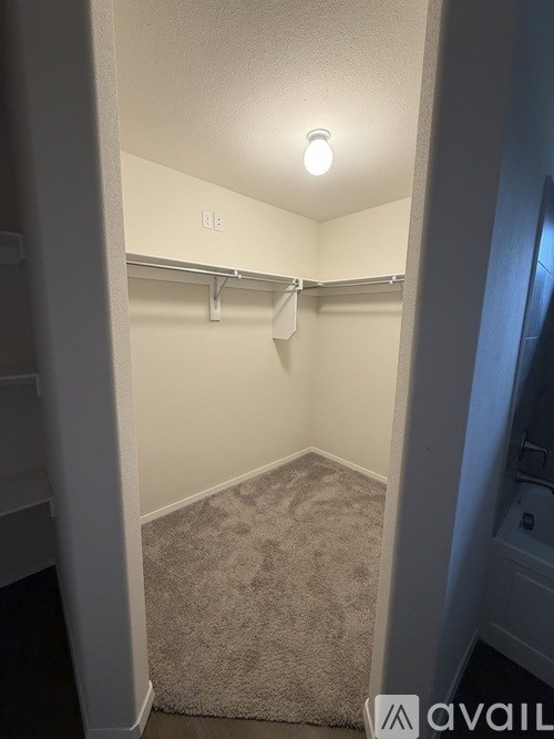 A small, empty closet with a carpeted floor and a single light bulb on the ceiling.