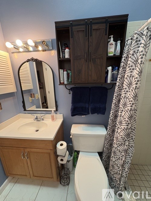 A bathroom with a sink, toilet, and a mirror.
