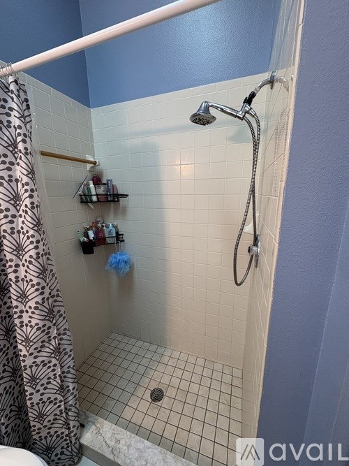 A shower area with a curtain, shelves and a shower head.