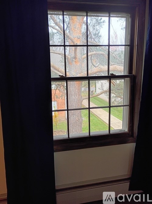 A window with a view of a tree and a pathway outside.