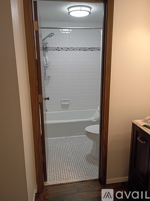 A bathroom with a walk in shower and a toilet.