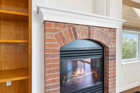 10763 Pikeview Lane 3 Beds House for Rent - Photo Gallery 21