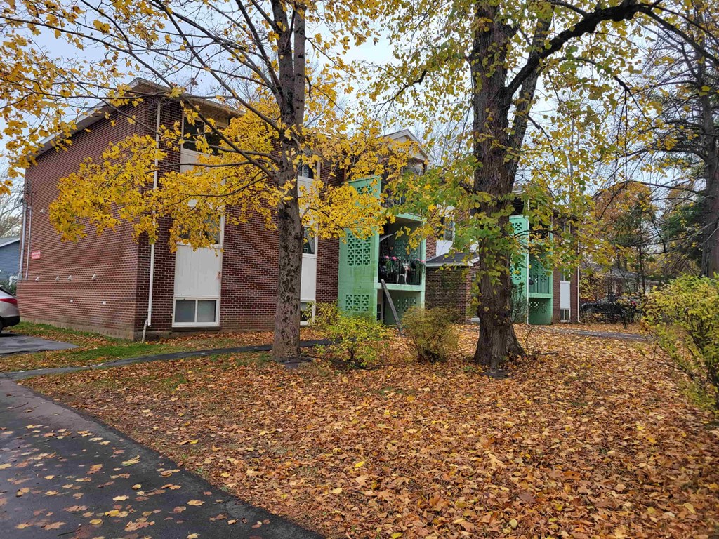 A tree with yellow leaves in front of a brick building.