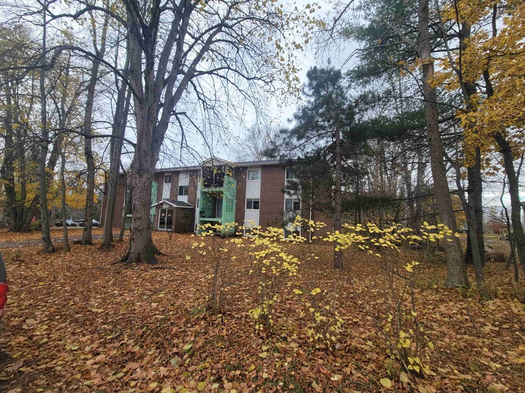 A house surrounded by trees with yellow leaves.