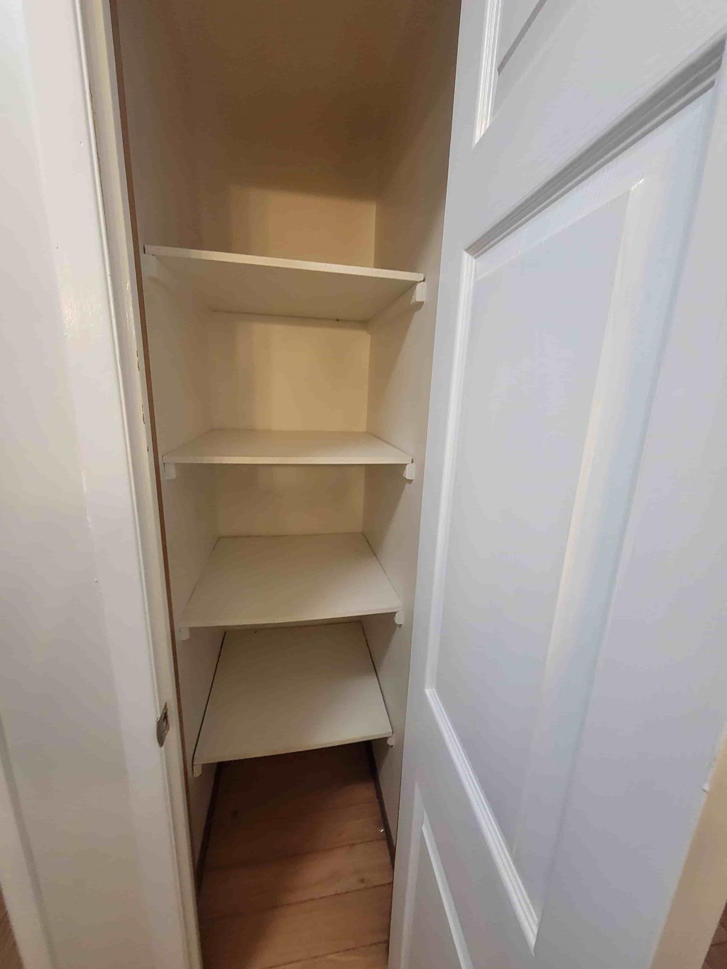Empty white shelves in a white pantry.