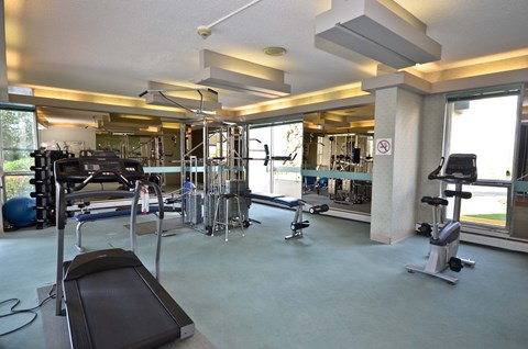 A gym with a variety of equipment including treadmills, weights, and exercise machines.