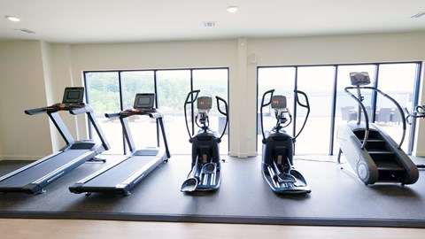 A gym with treadmills, elliptical machines and a rowing machine.