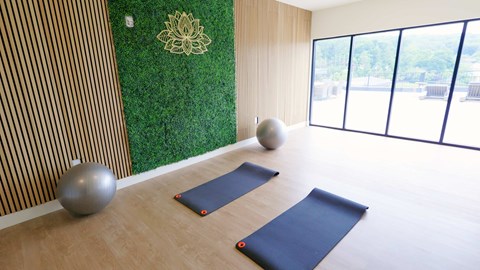A yoga studio with a green wall and exercise balls.