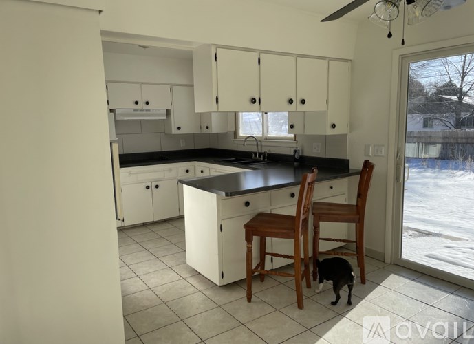 A kitchen with white cabinets and a black countertop with a cat sitting on it.