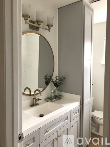 A bathroom with a sink, mirror, and a plant.