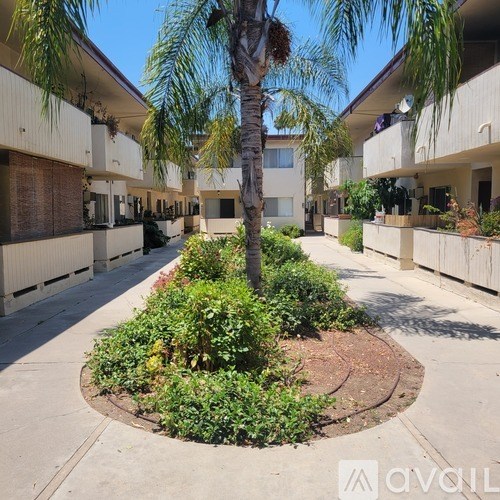 A palm tree in a courtyard surrounded by plants and buildings.