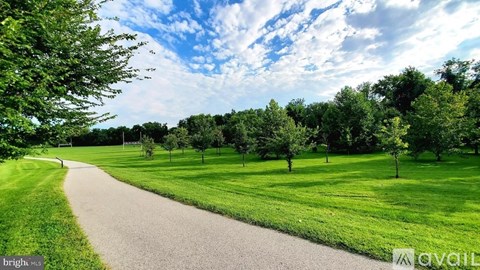 A pathway in a park with trees on both sides.